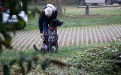 Qu’est ce que la discrimination en mantrailing?