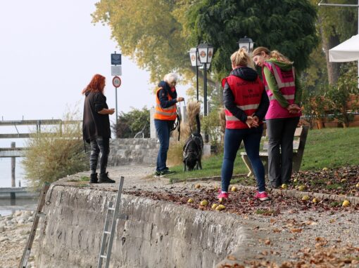 Stage de mantrailing