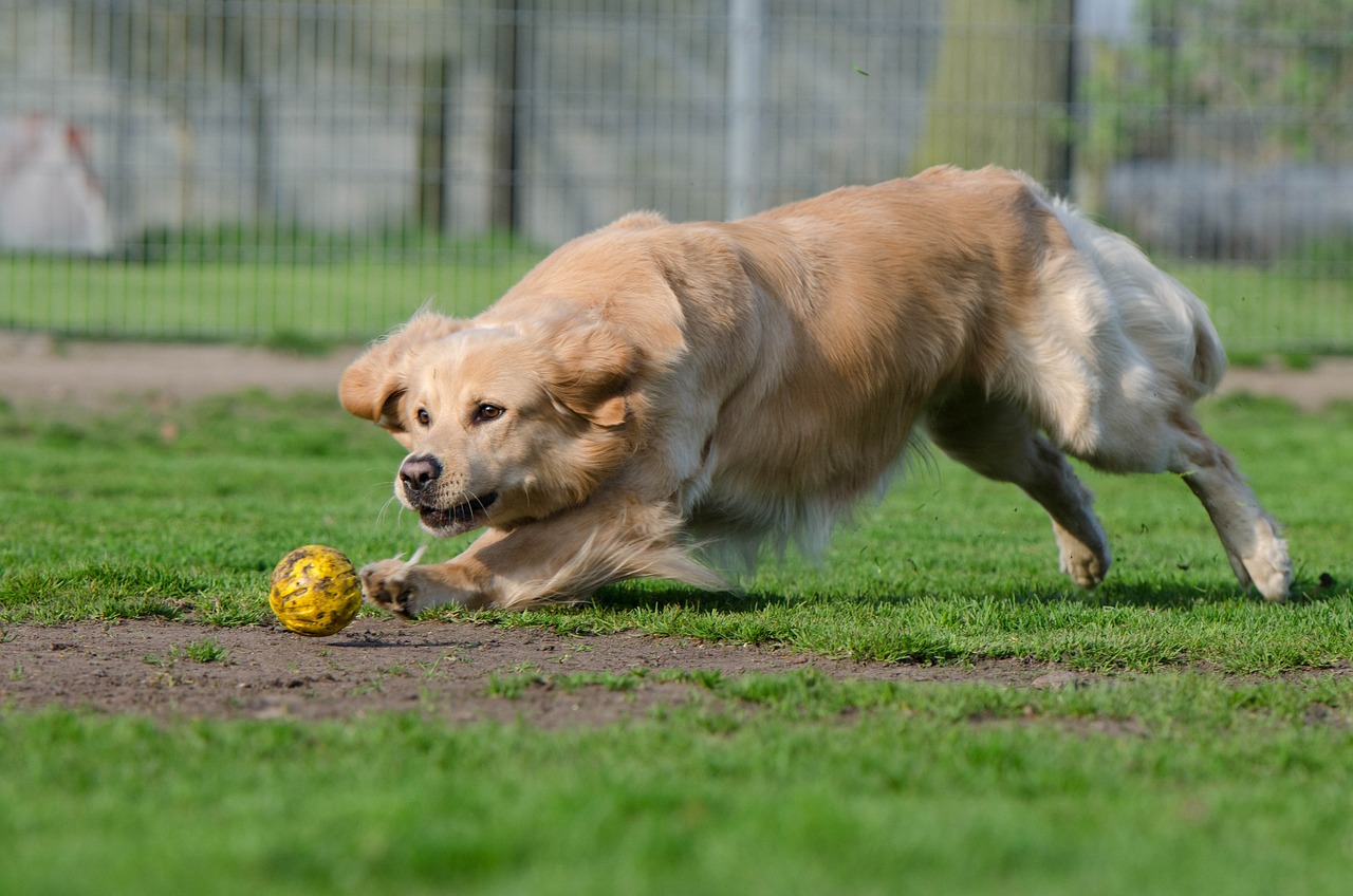 Depositphotos_419390028_XL