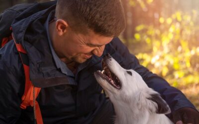 Le comportement du chien