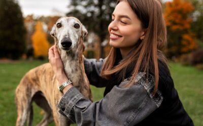 L’impact du Mantrailing dans la médiation animale: des bienfaits prometteurs