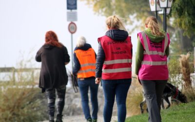 Mantrailing : un outil précieux pour le bien-être du chien… et de son humain